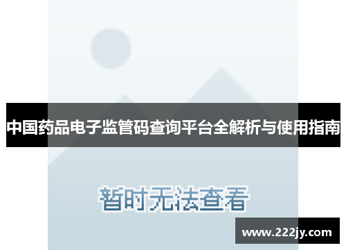 中国药品电子监管码查询平台全解析与使用指南