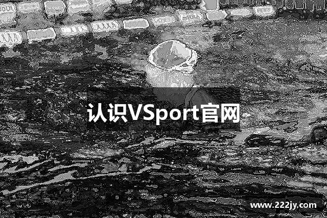 认识VSport官网